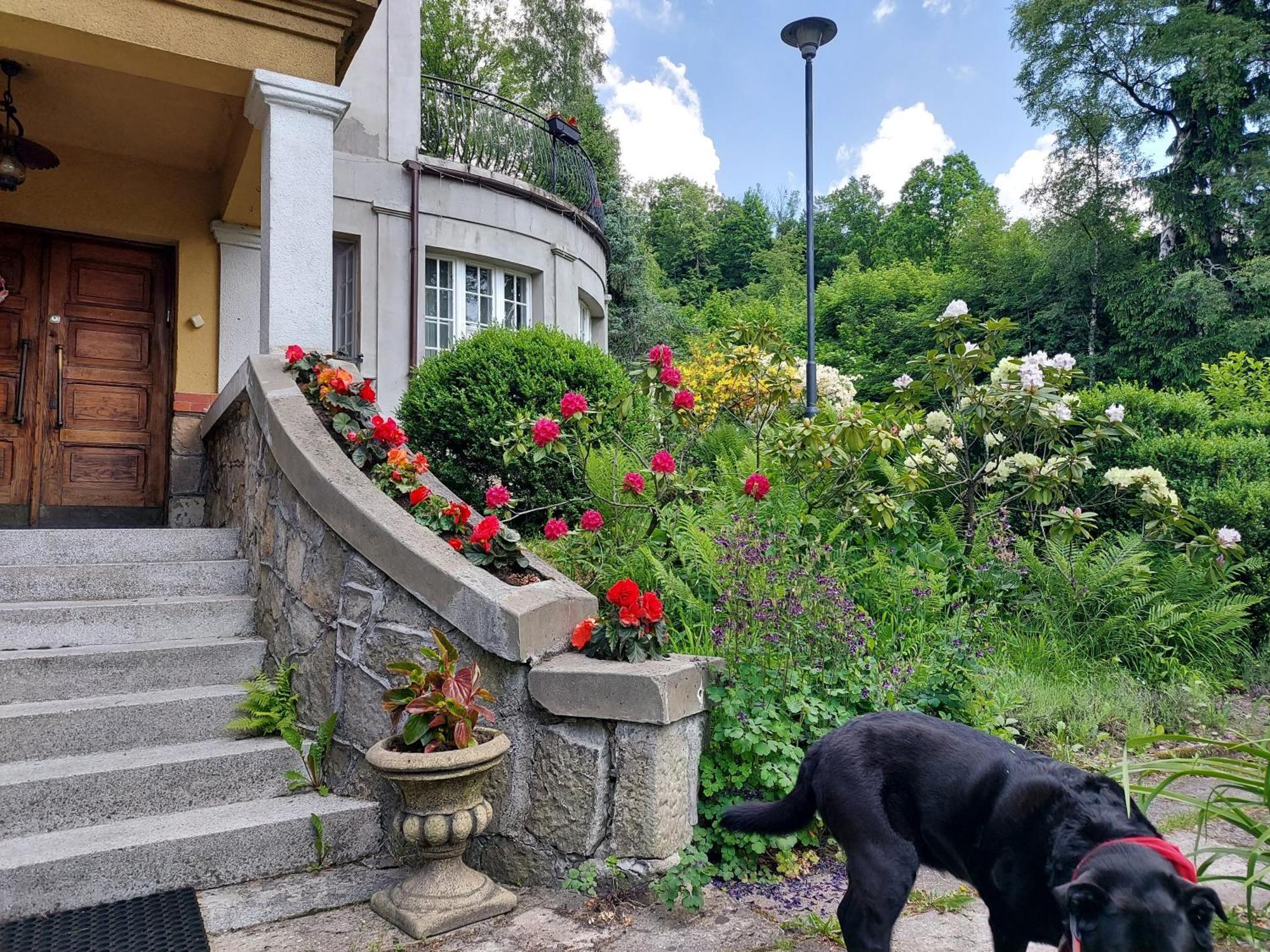 Willa Marysin Makow Podhalanski Dış mekan fotoğraf